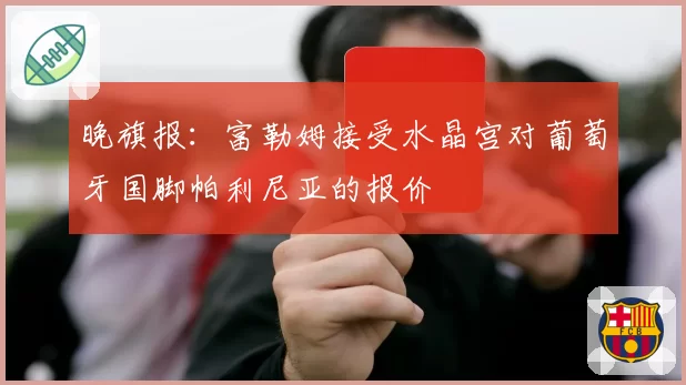 晚旗报：富勒姆接受水晶宫对葡萄牙国脚帕利尼亚的报价