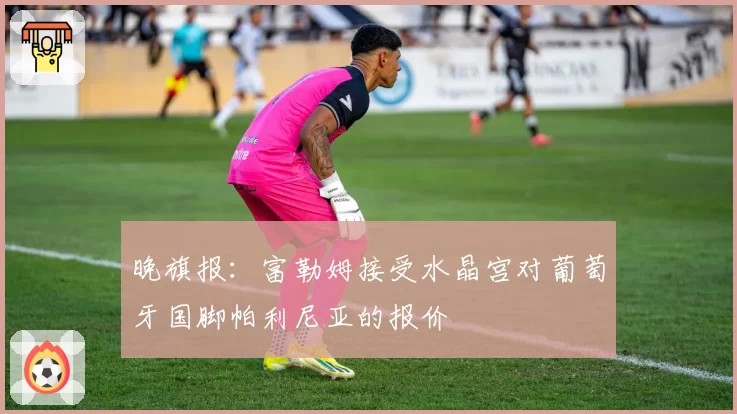晚旗报：富勒姆接受水晶宫对葡萄牙国脚帕利尼亚的报价