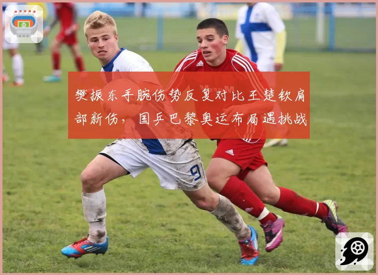 樊振东手腕伤势反复对比王楚钦肩部新伤，国乒巴黎奥运布局遇挑战