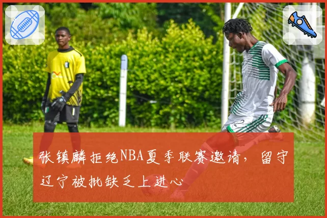 张镇麟拒绝NBA夏季联赛邀请，留守辽宁被批缺乏上进心